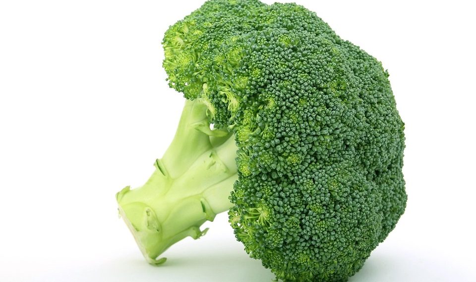 Separating Fact from Fiction: The Ultimate Guide to Weight Loss Myths Debunked