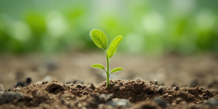 Unlocking the Power of Positive Thinking: Mindset Strategies for Successful Weight Loss