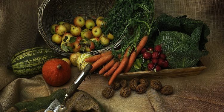 The Ultimate Guide to Balancing Protein and Fat in Your Diet for Optimal Health