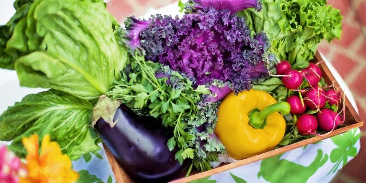 The Top 10 Surprising Health Benefits of a Balanced Diet: How Eating Right Can Transform Your Life