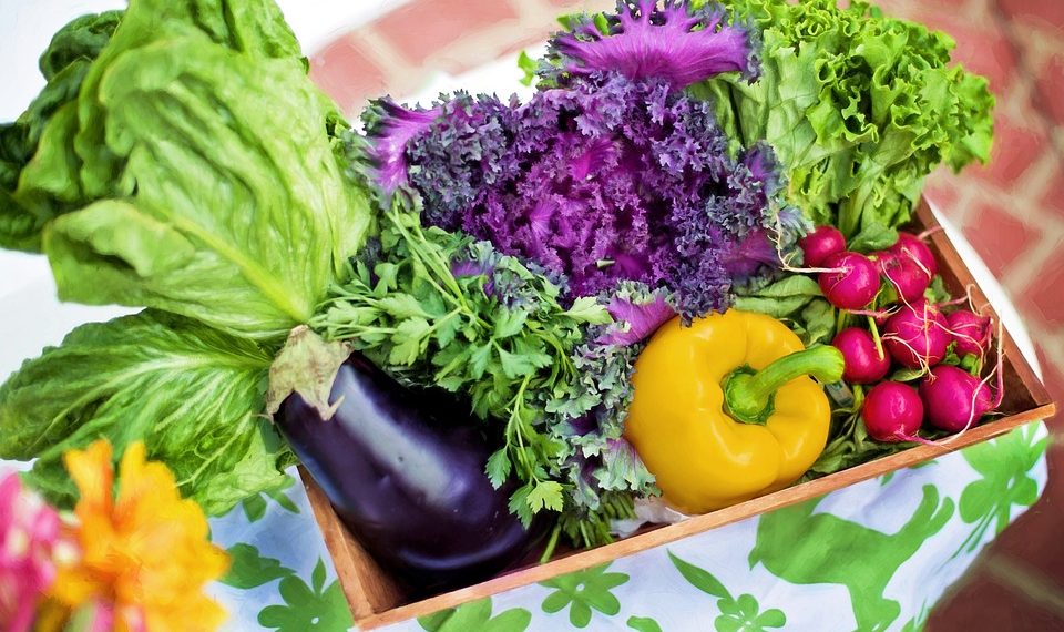 The Top 10 Surprising Health Benefits of a Balanced Diet: How Eating Right Can Transform Your Life
